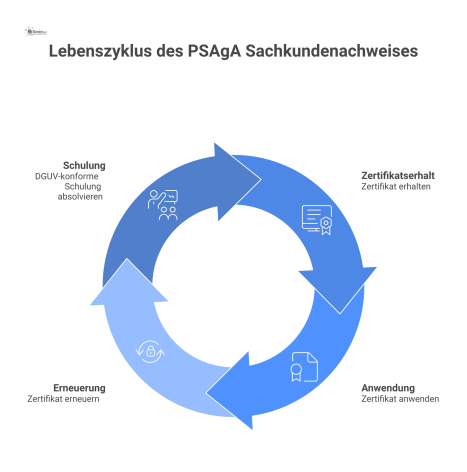 Infografik als Kreislauf zum Lebenszyklus des Sachkundenachweises für PSA gegen Absturz mit den vier Schritten Schulung, Zertifikat, Anwendung und Erneuerung.